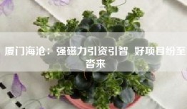 厦门海沧：强磁力引资引智  好项目纷至沓来