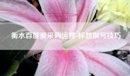 衡水百度爱采购运营-标题撰写技巧