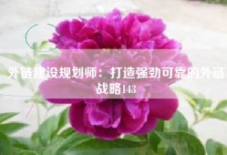 外链建设规划师：打造强劲可靠的外链战略143