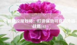 外链建设规划师：打造强劲可靠的外链战略143