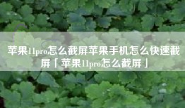 苹果11pro怎么截屏苹果手机怎么快速截屏「苹果11pro怎么截屏」
