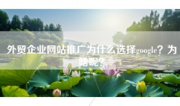 外贸企业网站推广为什么选择google？为啥呢？