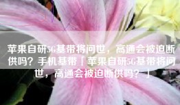 苹果自研5G基带将问世，高通会被迫断供吗？手机基带「苹果自研5G基带将问世，高通会被迫断供吗？」