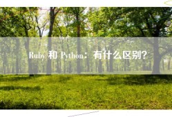Ruby 和 Python：有什么区别？