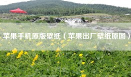 苹果手机原版壁纸（苹果出厂壁纸原图）