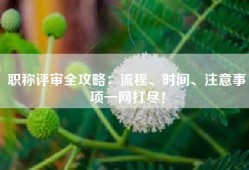 职称评审全攻略：流程、时间、注意事项一网打尽！