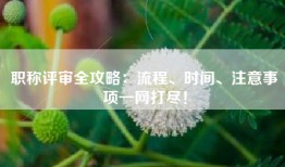 职称评审全攻略：流程、时间、注意事项一网打尽！