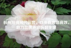 杭州短视频代运营，玖叁鹿靠谱高效，助力品牌声浪嗨翻全城