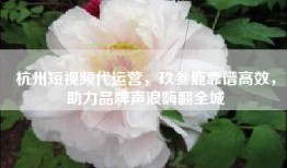 杭州短视频代运营，玖叁鹿靠谱高效，助力品牌声浪嗨翻全城