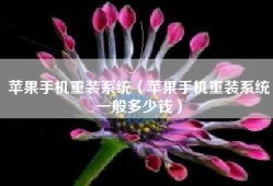 苹果手机重装系统（苹果手机重装系统一般多少钱）