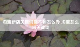 淘宝新店关键词搜不到怎么办 淘宝怎么写关键词