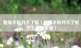 魅族手机开不了机（魅族手机开不了机怎么导出数据）