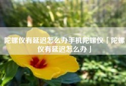 陀螺仪有延迟怎么办手机陀螺仪「陀螺仪有延迟怎么办」