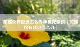 陀螺仪有延迟怎么办手机陀螺仪「陀螺仪有延迟怎么办」