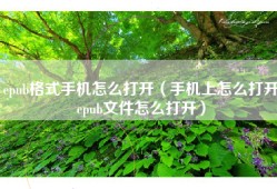 epub格式手机怎么打开（手机上怎么打开epub文件怎么打开）