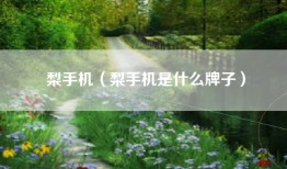 梨手机（梨手机是什么牌子）