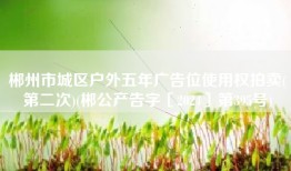 郴州市城区户外五年广告位使用权拍卖(第二次)(郴公产告字〔2024〕第395号)