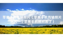 苹果手机传输照片（苹果手机传输照片到另一个苹果手机照片丢了）