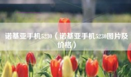 诺基亚手机5230（诺基亚手机5230图片及价格）