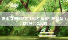 搜索引擎网站优化排名 搜索引擎网站优化排名怎么设置