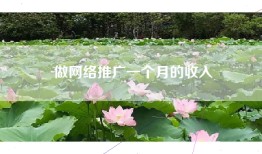 做网络推广一个月的收入