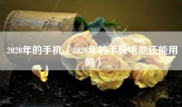 2020年的手机（2020年的手机电池还能用吗）
