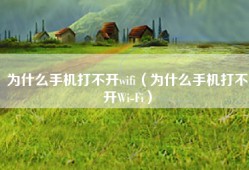 为什么手机打不开wifi（为什么手机打不开Wi-Fi）