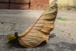 今天股票走势怎么样_今天股票走势预估