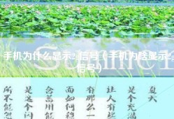 手机为什么显示2g信号（手机为啥显示2g信号）