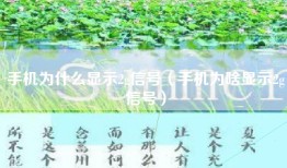 手机为什么显示2g信号（手机为啥显示2g信号）