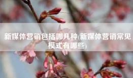 新媒体营销包括哪几种(新媒体营销常见模式有哪些)