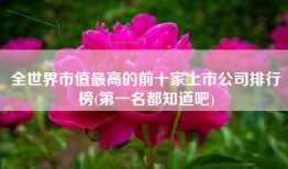 全世界市值最高的前十家上市公司排行榜(第一名都知道吧)