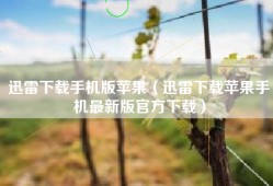 迅雷下载手机版苹果（迅雷下载苹果手机最新版官方下载）