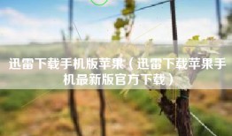 迅雷下载手机版苹果（迅雷下载苹果手机最新版官方下载）