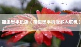 猫里奥手机版（猫里奥手机版多人联机）