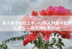 家人孩子轻松上手，让私人网盘不在那么遥远----极空间私有云Q2C