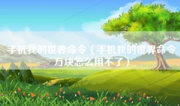 手机我的世界命令（手机我的世界命令方块怎么用不了）