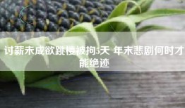 讨薪未成欲跳楼被拘5天 年末悲剧何时才能绝迹