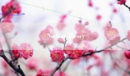 Nuclear Theory