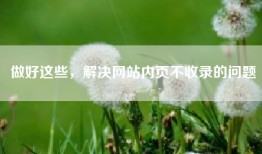 做好这些，解决网站内页不收录的问题