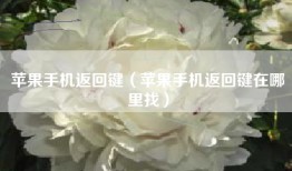 苹果手机返回键（苹果手机返回键在哪里找）