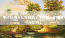 手机能用北斗导航吗（手机可以使用北斗导航吗）