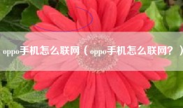 oppo手机怎么联网（oppo手机怎么联网？）
