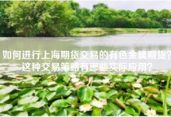 如何进行上海期货交易的有色金属期货？这种交易策略有哪些实际应用？