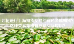 如何进行上海期货交易的有色金属期货？这种交易策略有哪些实际应用？