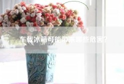 车载冰箱可能带来哪些危害？