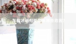 车载冰箱可能带来哪些危害？