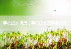 手机进水很烫（手机进水烫手怎么办）