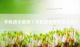 手机进水很烫（手机进水烫手怎么办）