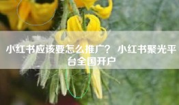 小红书应该要怎么推广？ 小红书聚光平台全国开户